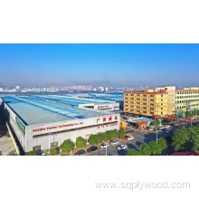 5mm-22mm Melamine Faced Eucalyptus Core Plywood for Home Decoration